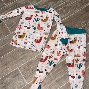 18-24 Month Llamas Little Sleepies